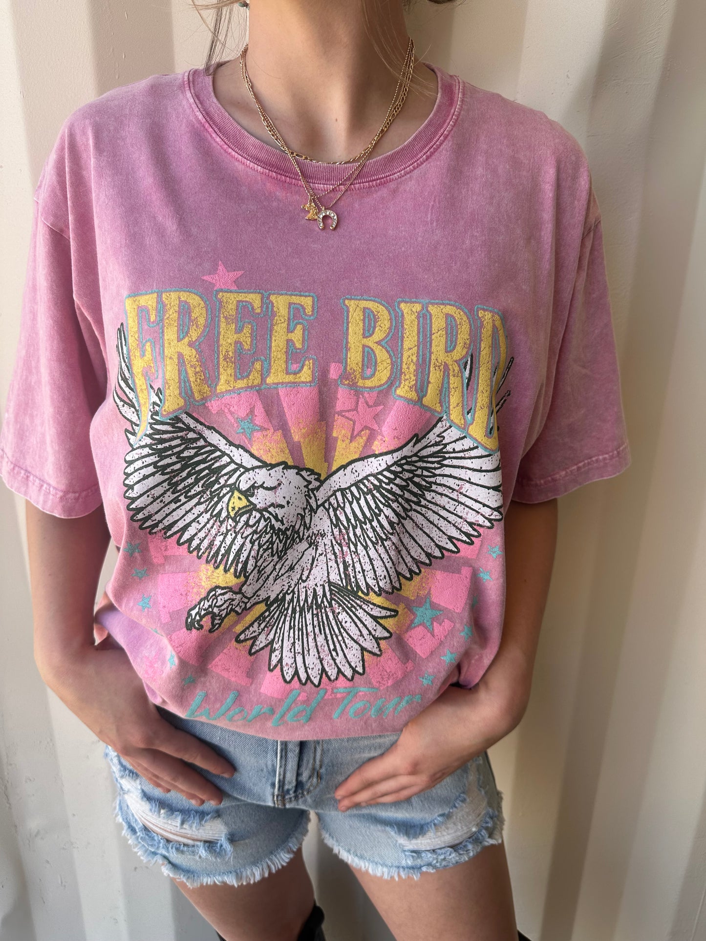 Free Bird World Tour Graphic S/S Washed Boyfriend Fit Tee: Pink